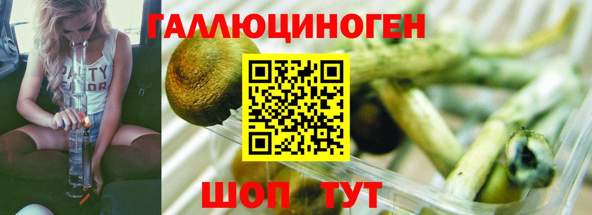 Псилоцибиновые грибы мицелий Уссурийск